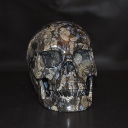 Large Llianite Skull