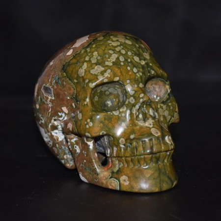 Large top grade Rhyolite Skull