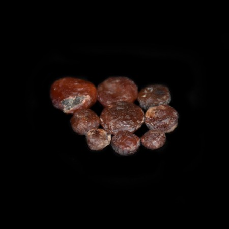 Nine rare Neolithic Bead Blanks