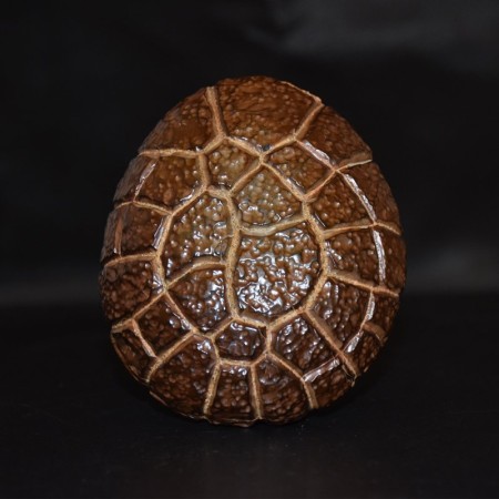 Huge massive tortoise moire septarian concretion / siderite suiseki stone