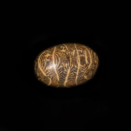 Rare large ancient islamic Fossil Stone Bead