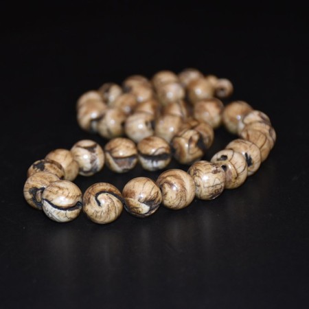 Rare strand with antique tibetan conch shell beads