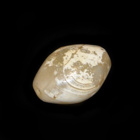 Huge Ancient Calcified Quartz / Agate Bead