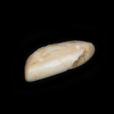 Ancient Shell Bead Pendant