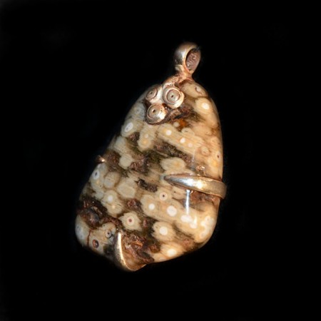 Orbicula Jasper Silver Claw Pendant