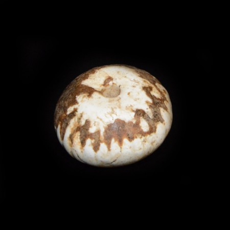 Ancient Fossil Bead