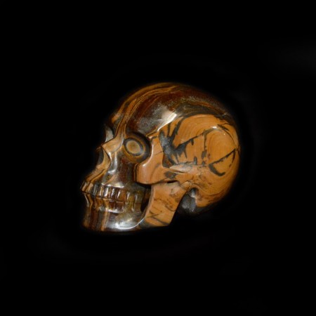 Tiger Iron Skull