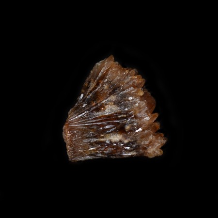 Grosser Chrysophoron Kalzit Kristall