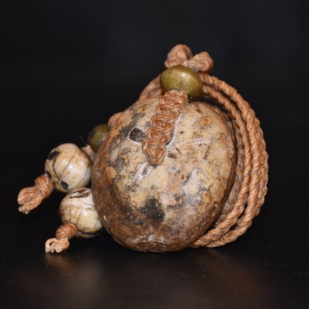 Grosse antike versteinerte Sanddollar Amulett Makramee Halskette