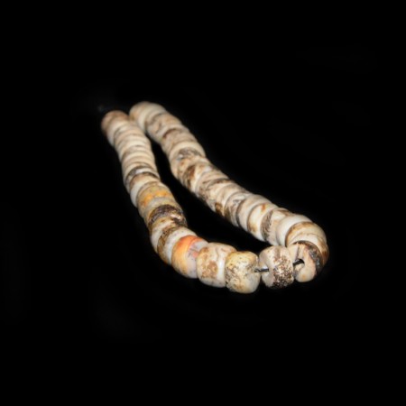 Antike Präkolumbische Muschelperlen