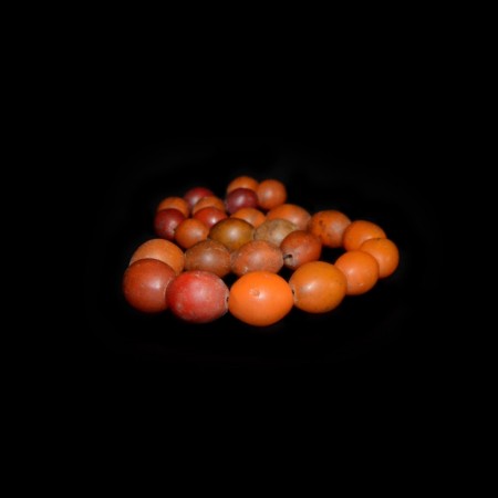 Antike Tomato Glasperlen aus Ethiopien